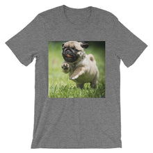 Pug t-shirt