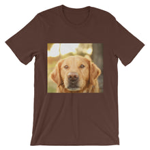 Dog t-shirt