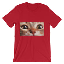 Cat t-shirt