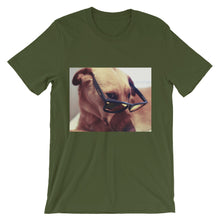 Dog with glasses t-shirt