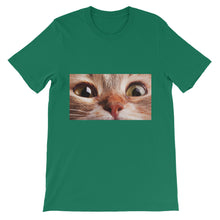 Cat t-shirt