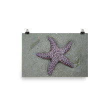 Starfish poster