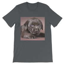 Puppy t-shirt