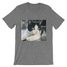 Kitten t-shirt