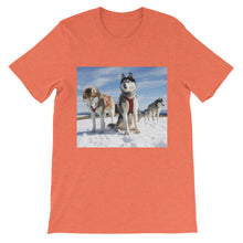 Huskies t-shirt