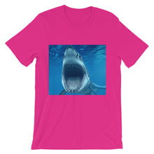 Shark t-shirt