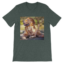 Dog t-shirt