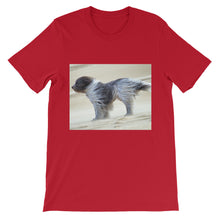 Dog t-shirt
