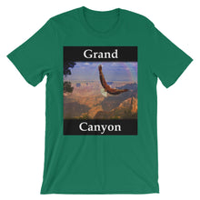 Grand Canyon t-shirt