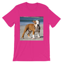 Dog t-shirt