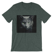 Cat t-shirt