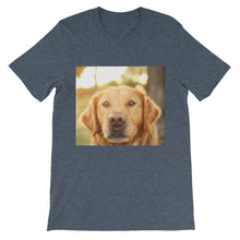 Dog t-shirt