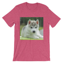 Puppy t-shirt