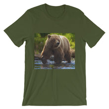Bear t-shirt