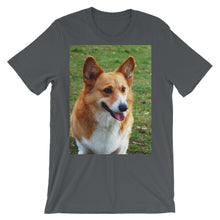 Corgi t-shirt