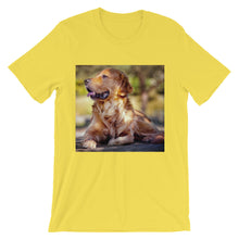 Dog t-shirt