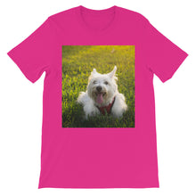 Dog t-shirt