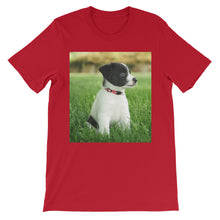Puppy t-shirt