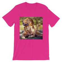 Dog t-shirt