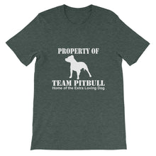 Property of Team Pitbull t-shirt