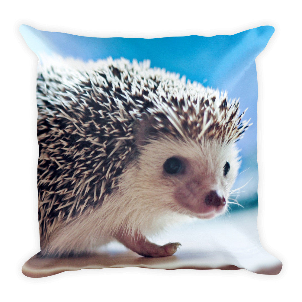 Hedgehog Pillow