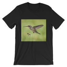 Hummingbird and Bee t-shirt