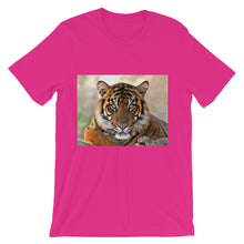 Tiger t-shirt