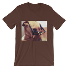 Dog with glasses t-shirt