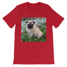 Pug t-shirt