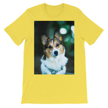 Corgi t-shirt