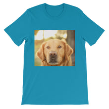 Dog t-shirt