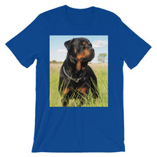 Rottweiler t-shirt
