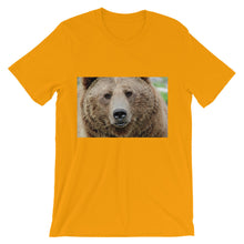 Bear t-shirt