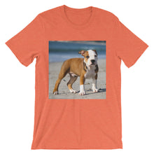 Dog t-shirt