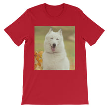 Dog t-shirt