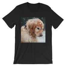 Dog t-shirt