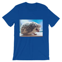 Hedgehog t-shirt