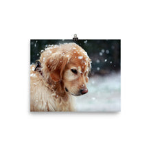 Snow Dog poster