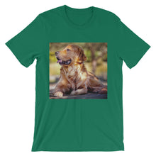 Dog t-shirt