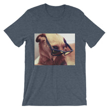 Dog with glasses t-shirt