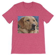 Dog t-shirt