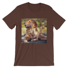Dog t-shirt