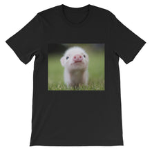 Piglet t-shirt