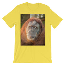 Endangered Species t-shirt
