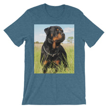 Rottweiler t-shirt