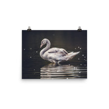 Swan poster