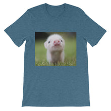 Piglet t-shirt