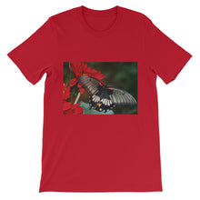 Butterfly t-shirt
