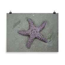 Starfish poster
