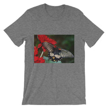 Butterfly t-shirt